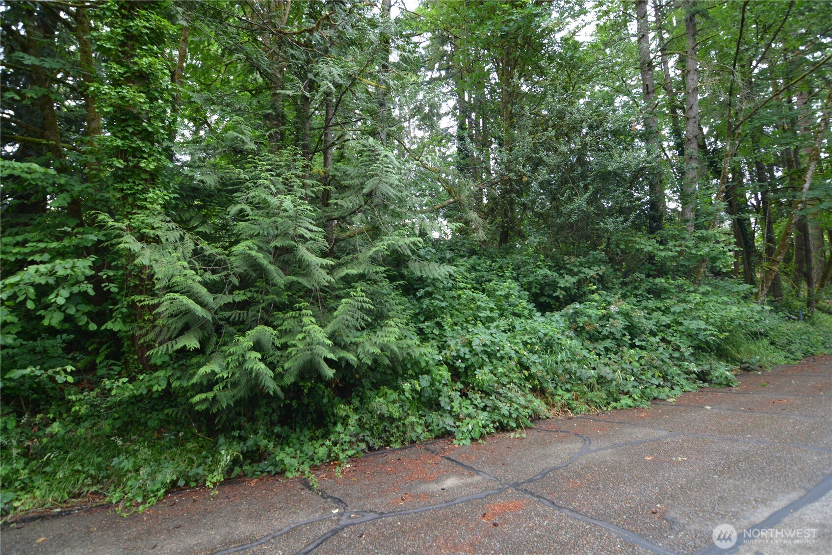 2428 Archwood Drive Property Photo 13