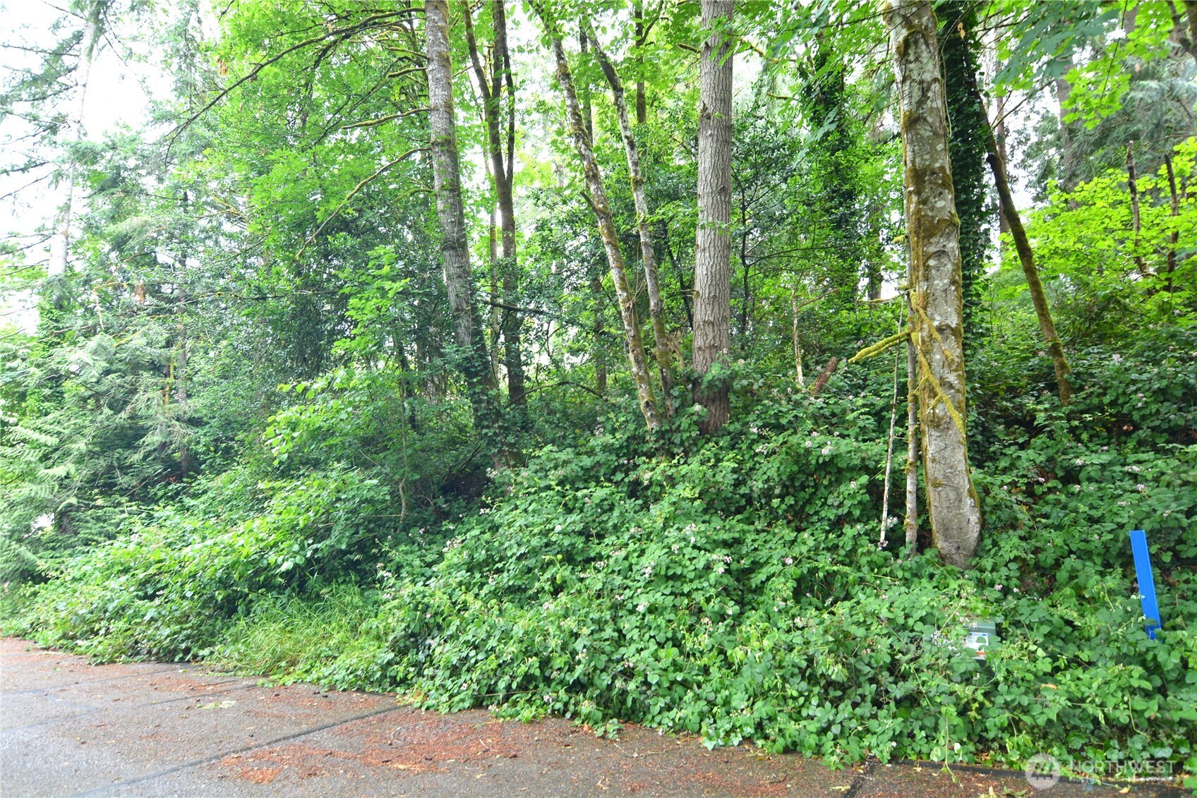 2428 Archwood Drive Property Photo 14