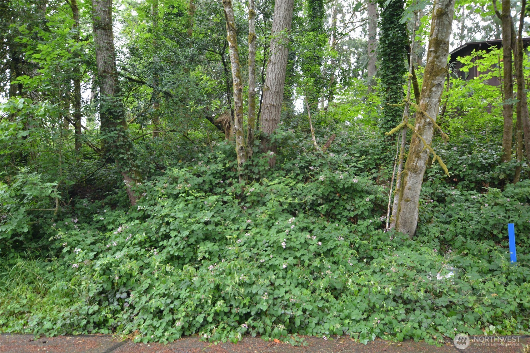 2428 Archwood Drive Property Photo 15