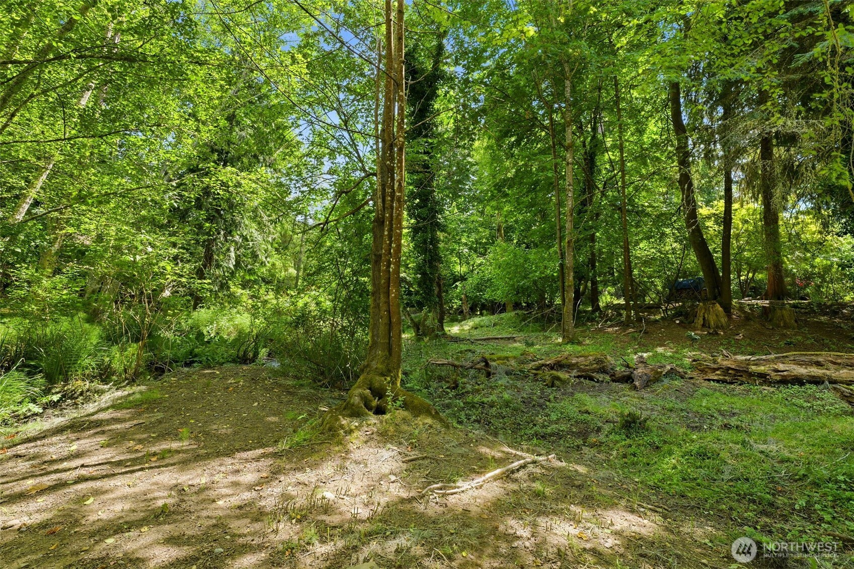 54 Raft Island Drive Property Photo 13