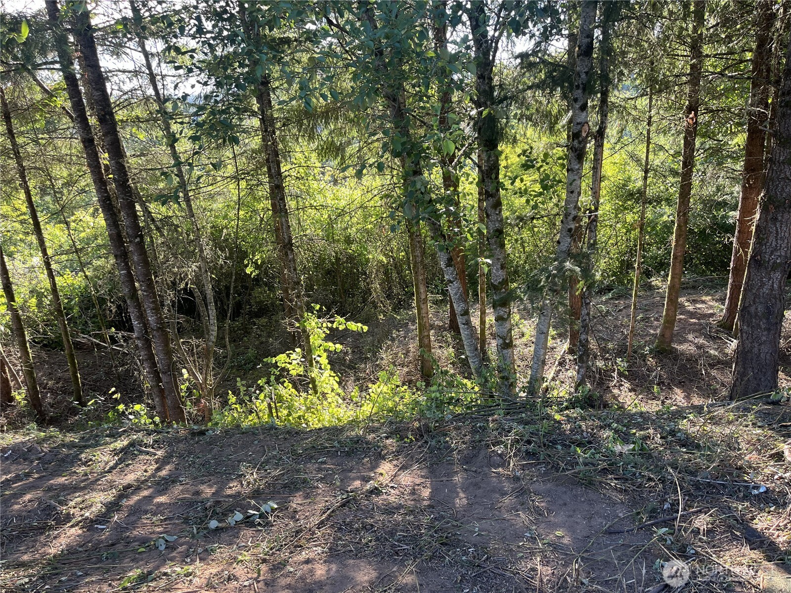 0 Ne Jabez Street Property Photo 5