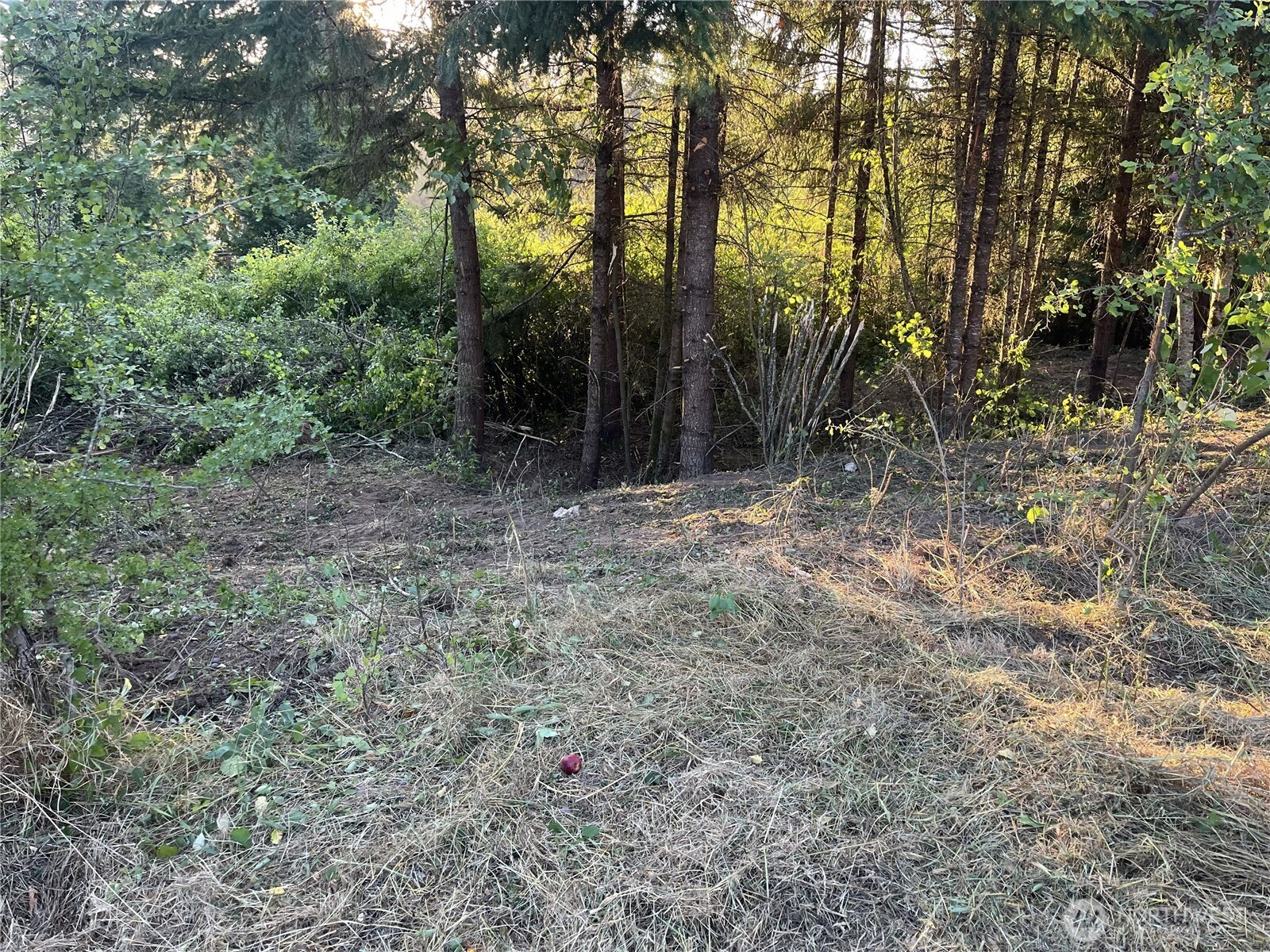 0 Ne Jabez Street Property Photo 6