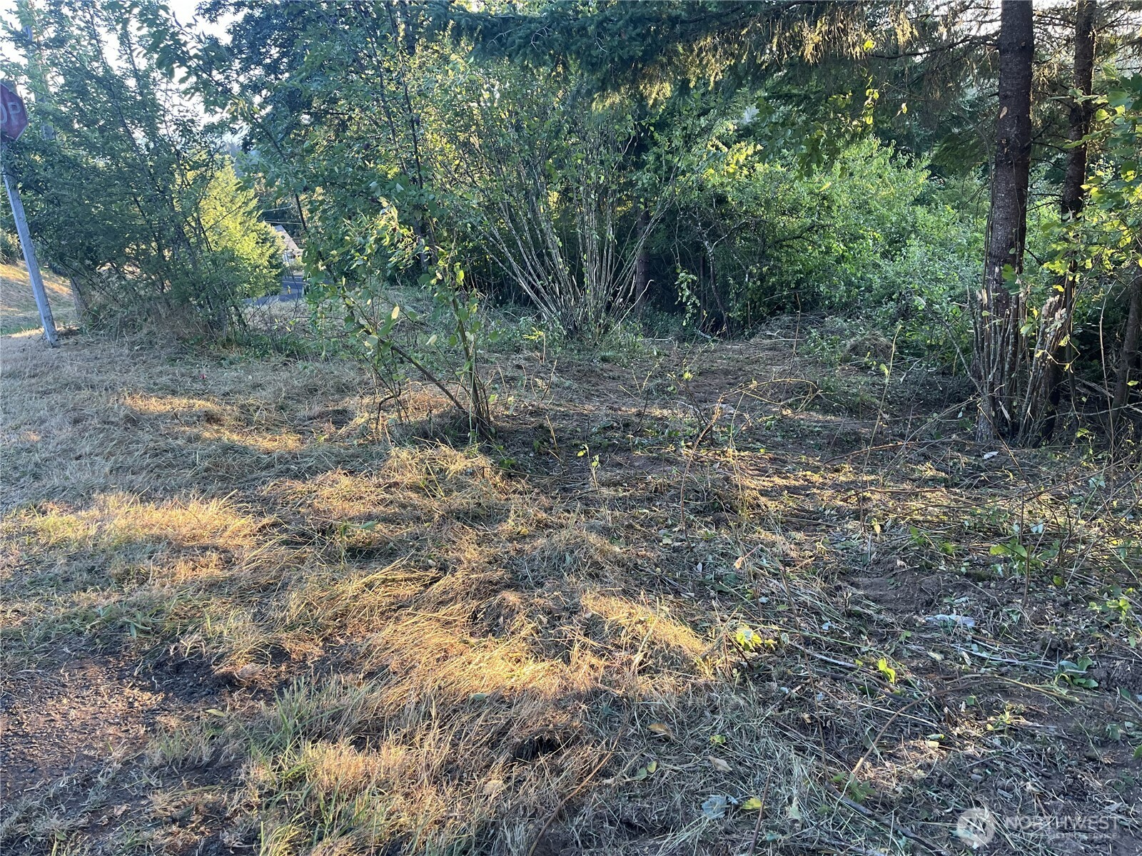 0 Ne Jabez Street Property Photo 7