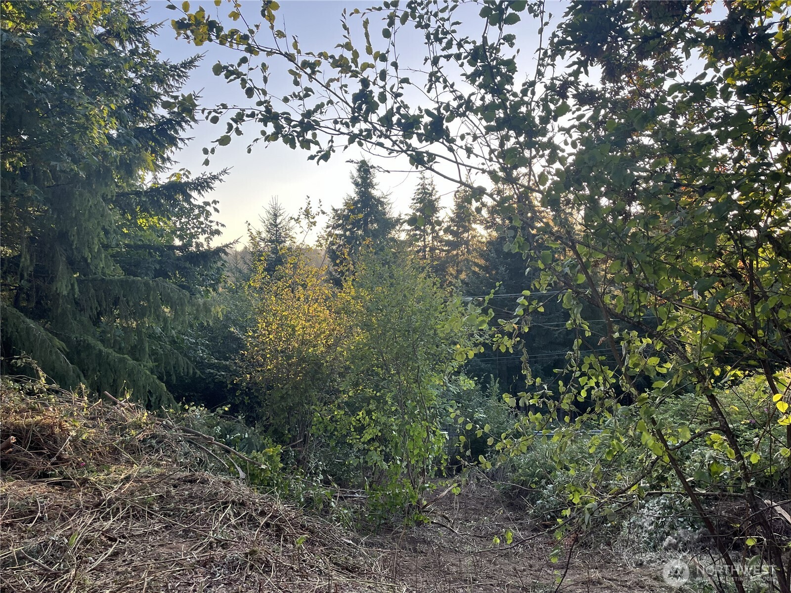 0 Ne Jabez Street Property Photo 10