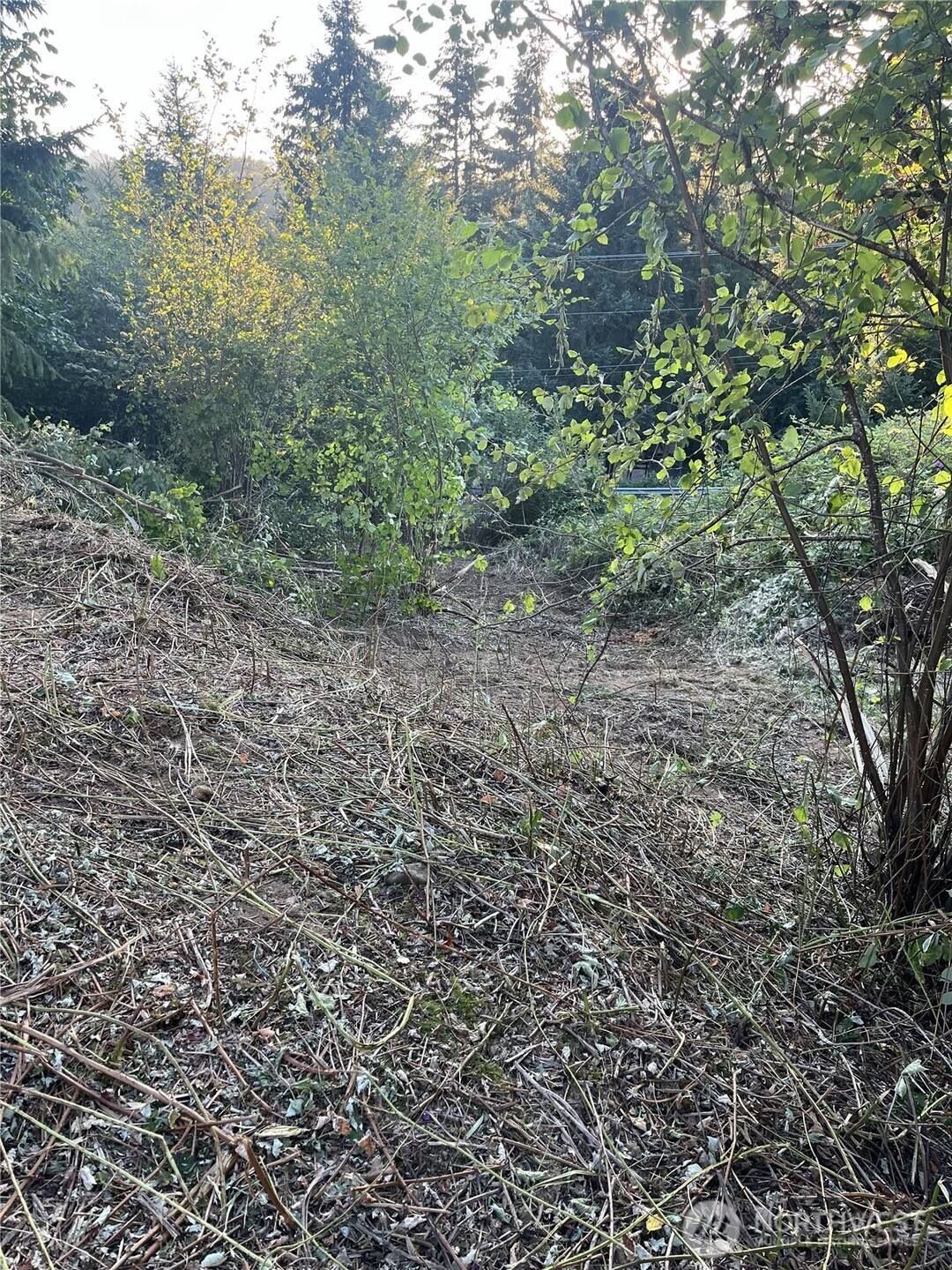 0 Ne Jabez Street Property Photo 11