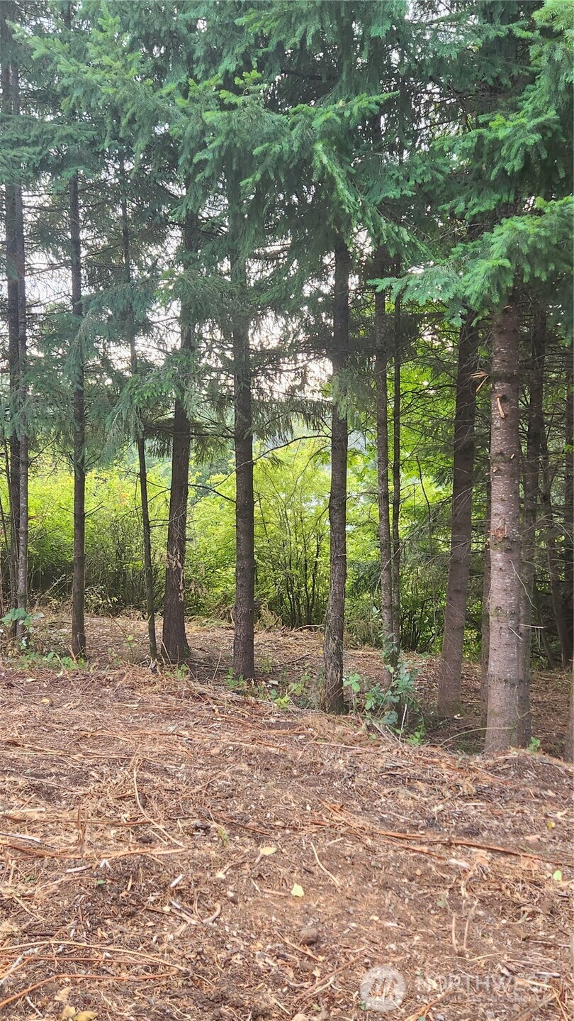 0 Ne Jabez Street Property Photo 16