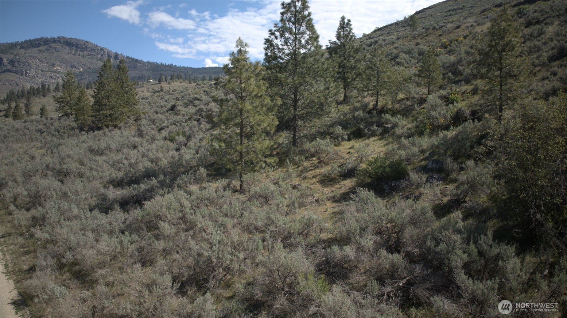 0 Round Up Road 13 Property Photo 6