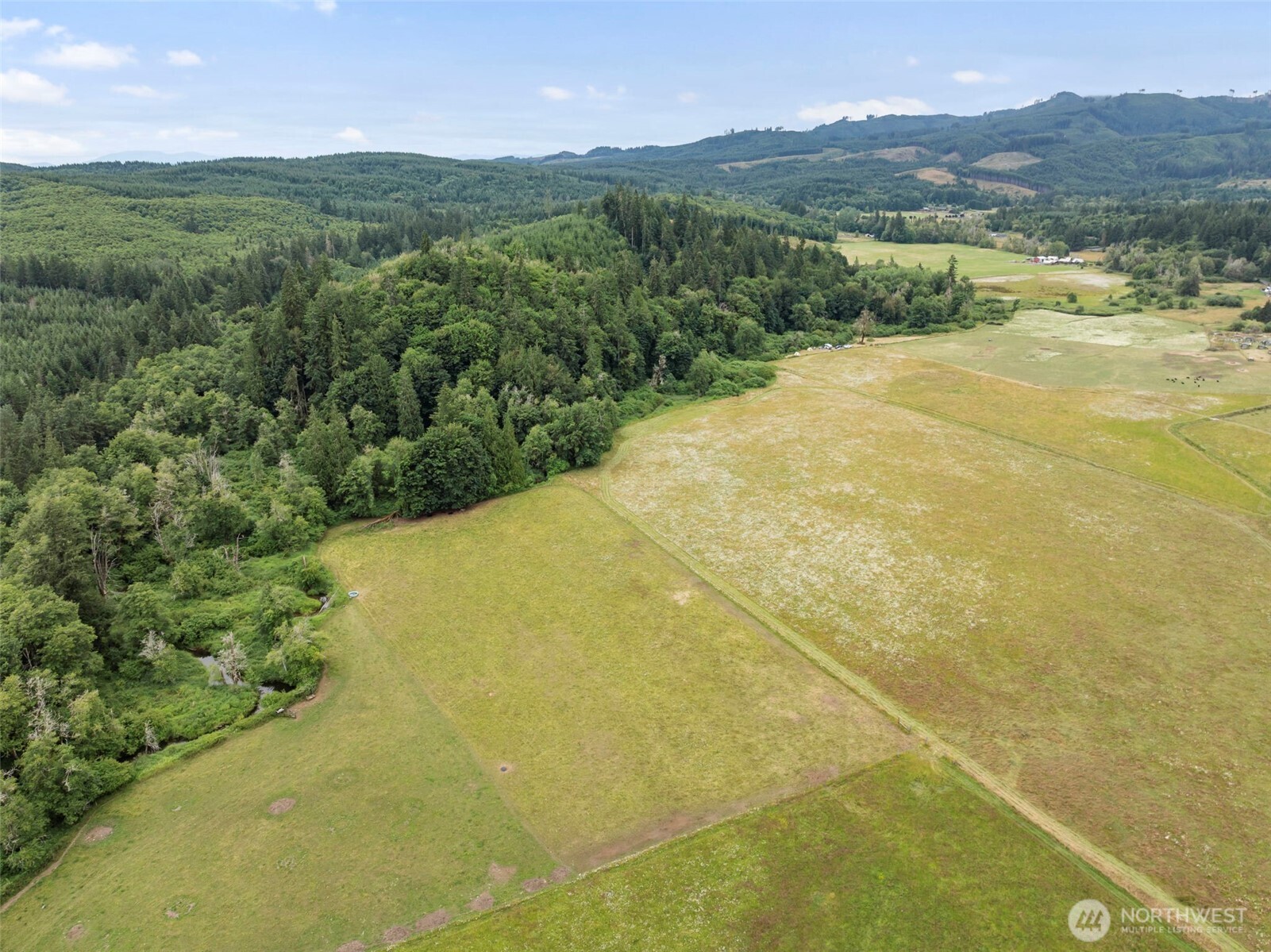 0 Lincoln Creek Road Property Photo 8