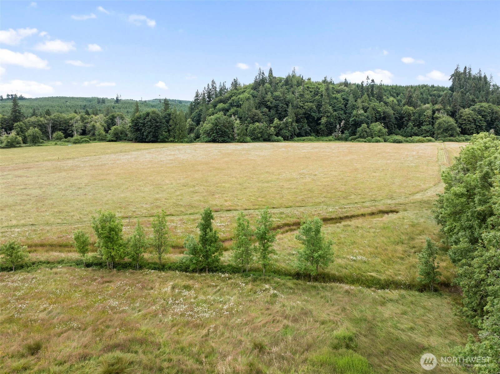 0 Lincoln Creek Road Property Photo 13