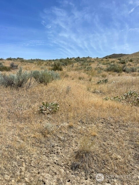 0 Lot 1, Bill Shaw Road Property Photo 13