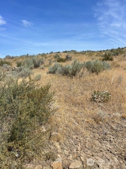 0 Lot 1, Bill Shaw Road Property Photo 14