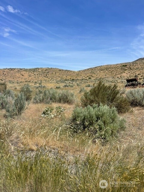 0 Lot 1, Bill Shaw Road Property Photo 17