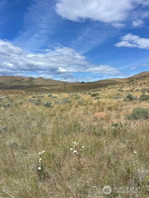 410 Lot 2 Bill Shaw Road Property Photo 3