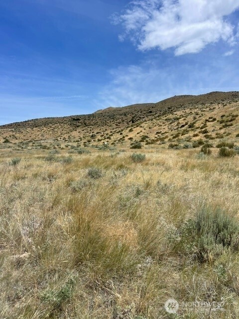 410 Lot 2 Bill Shaw Road Property Photo 4