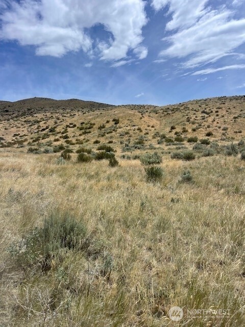 410 Lot 2 Bill Shaw Road Property Photo 5