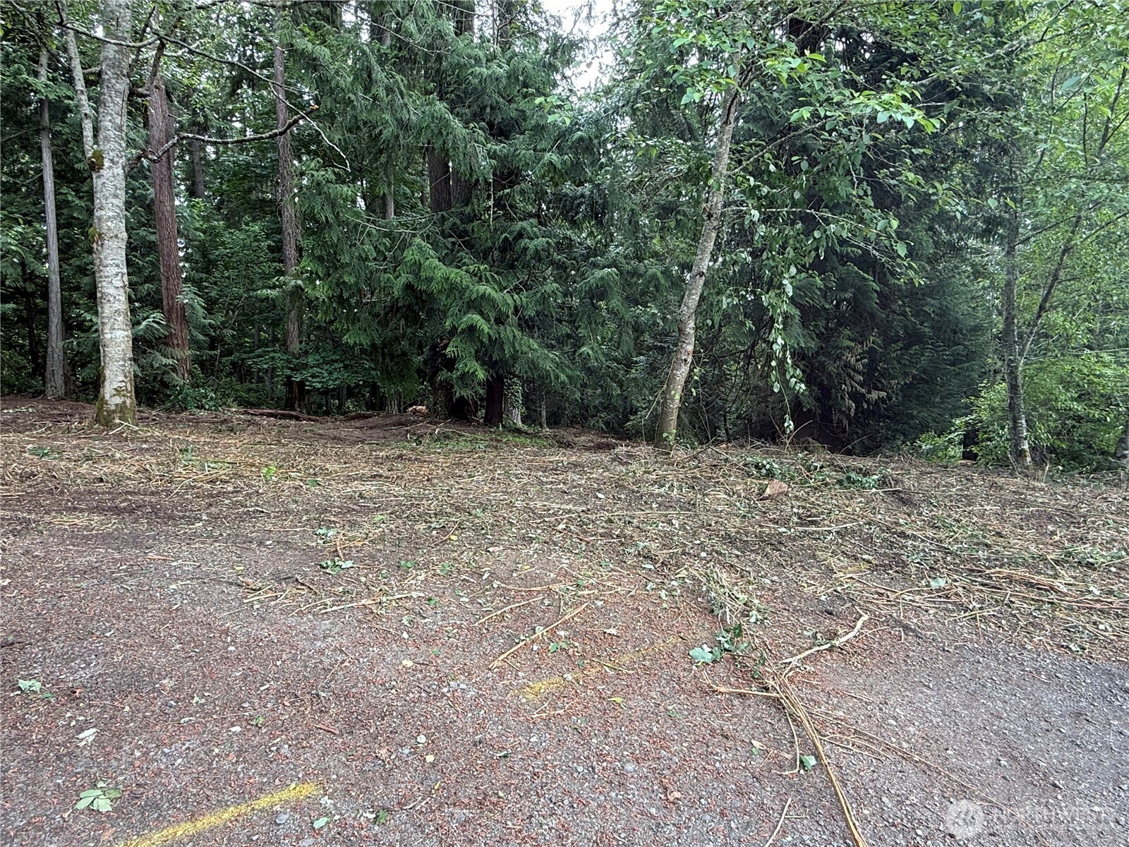 1234 Ne 11th Avenue Property Photo 2