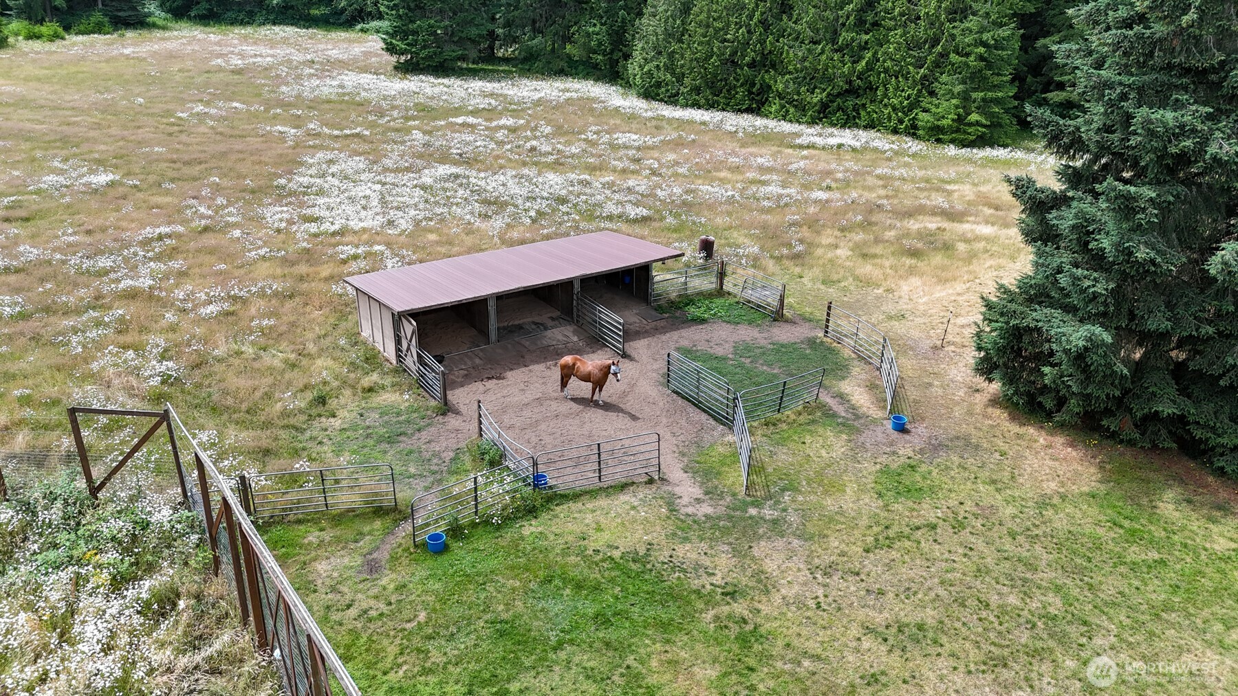10905 138th Avenue Property Photo 34