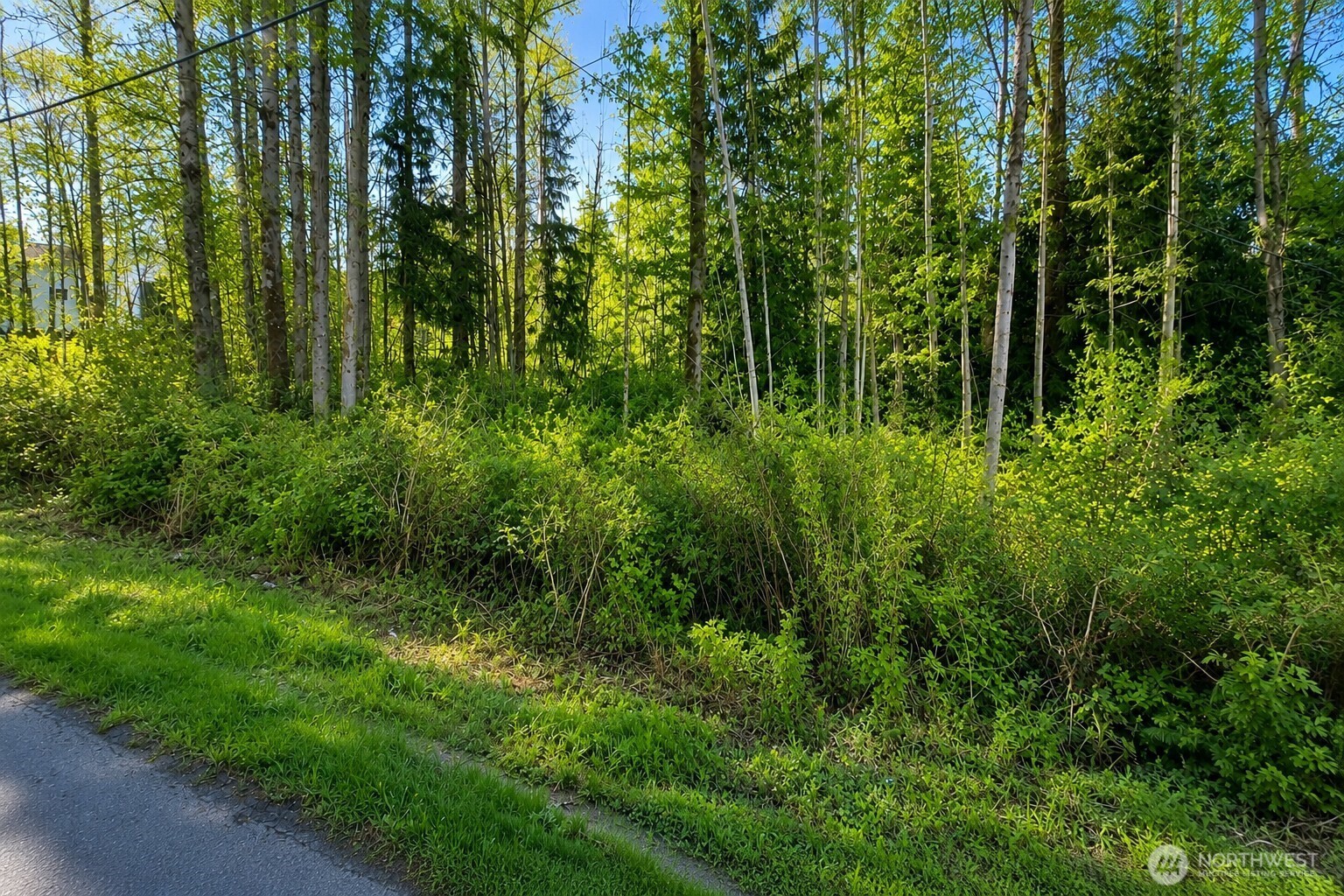 11507 Manor Way Property Photo 1