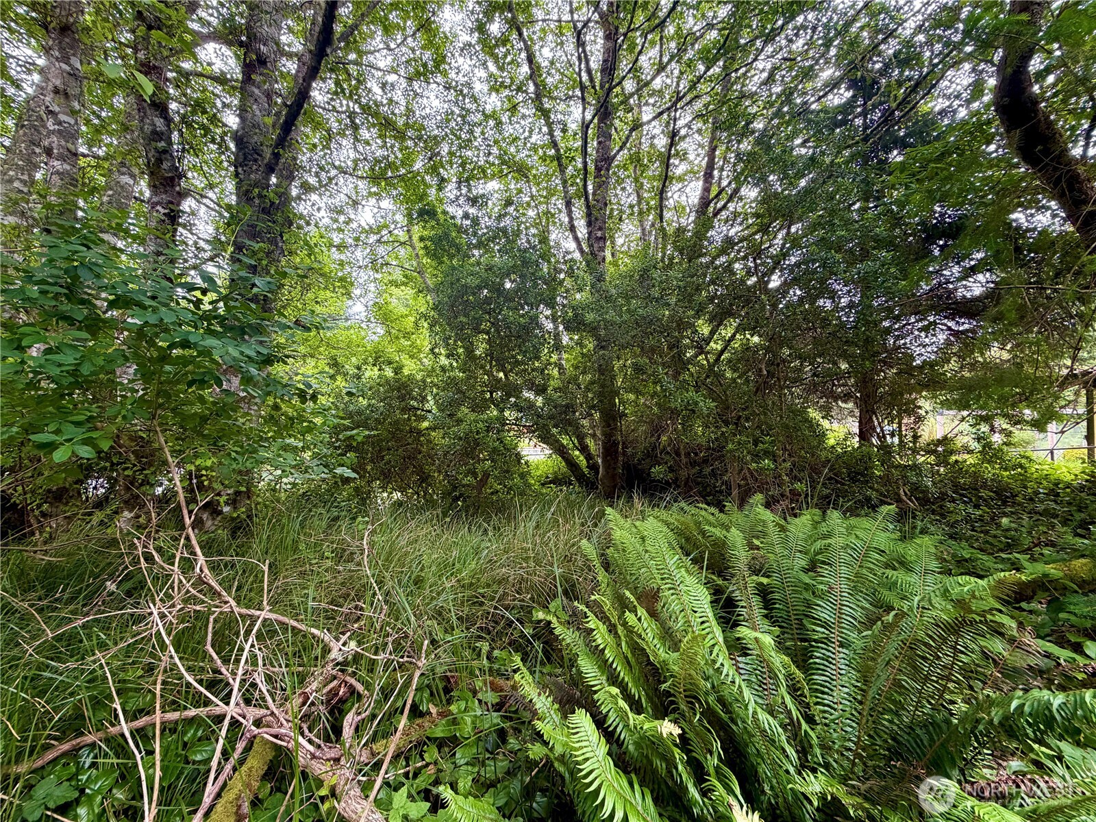 772 Island Circle Property Photo 4