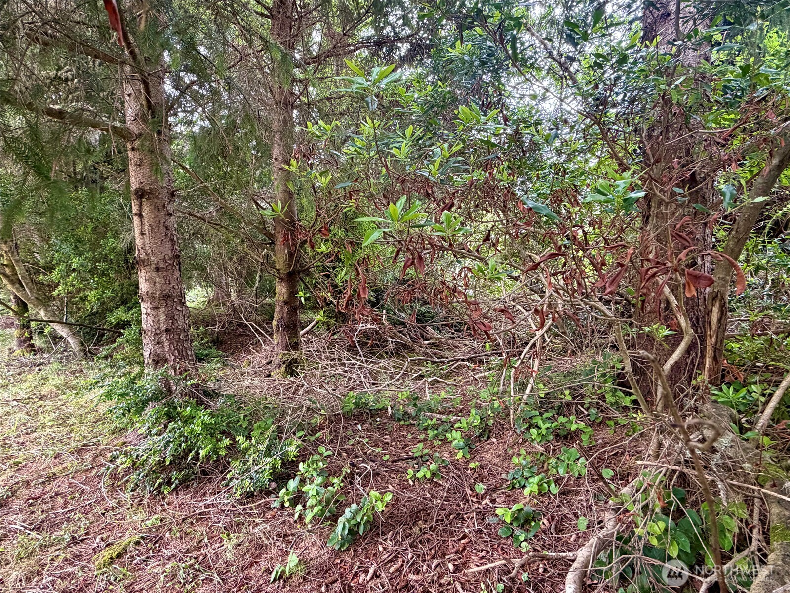 772 Island Circle Property Photo 6