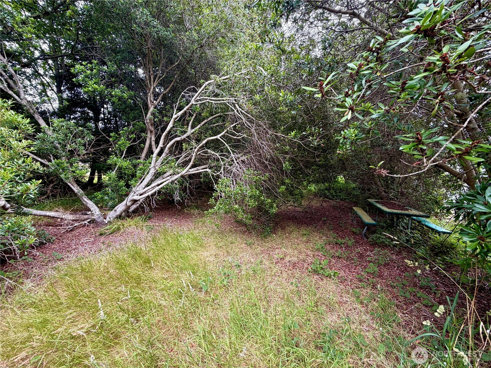 772 Island Circle Property Photo 7