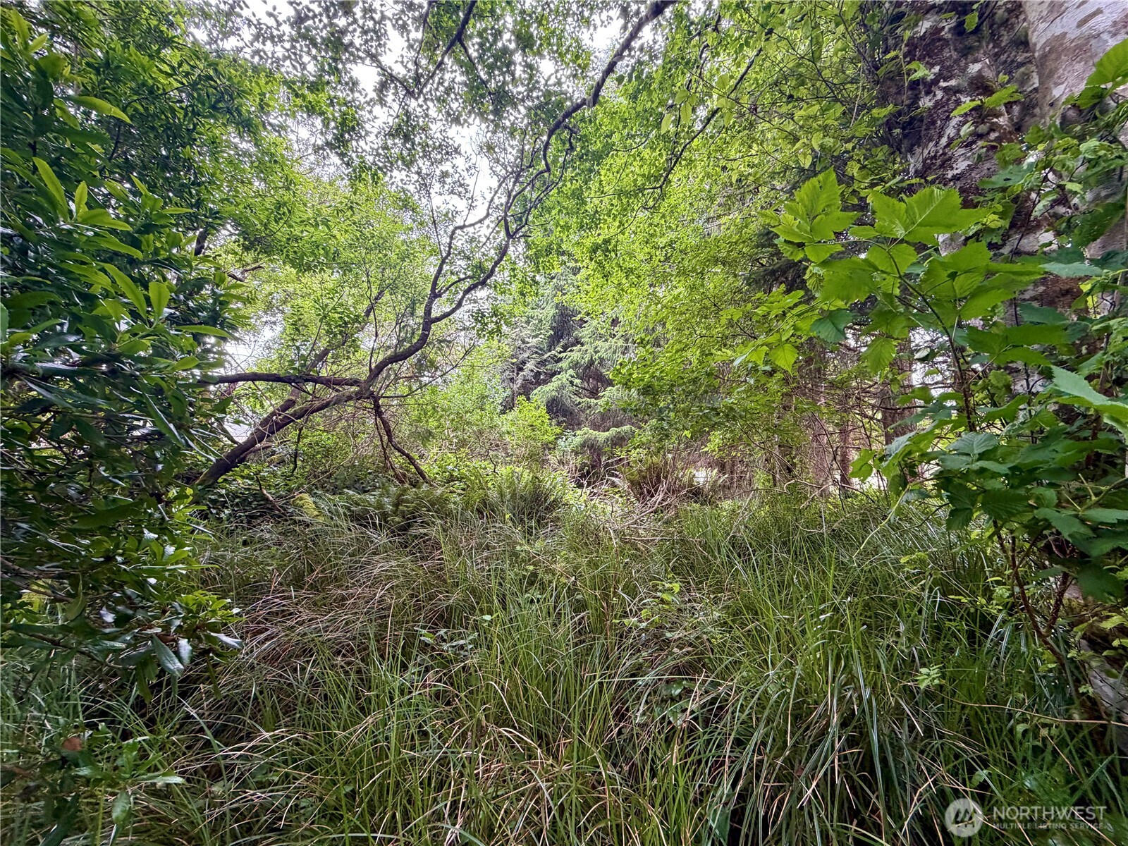 772 Island Circle Property Photo 12