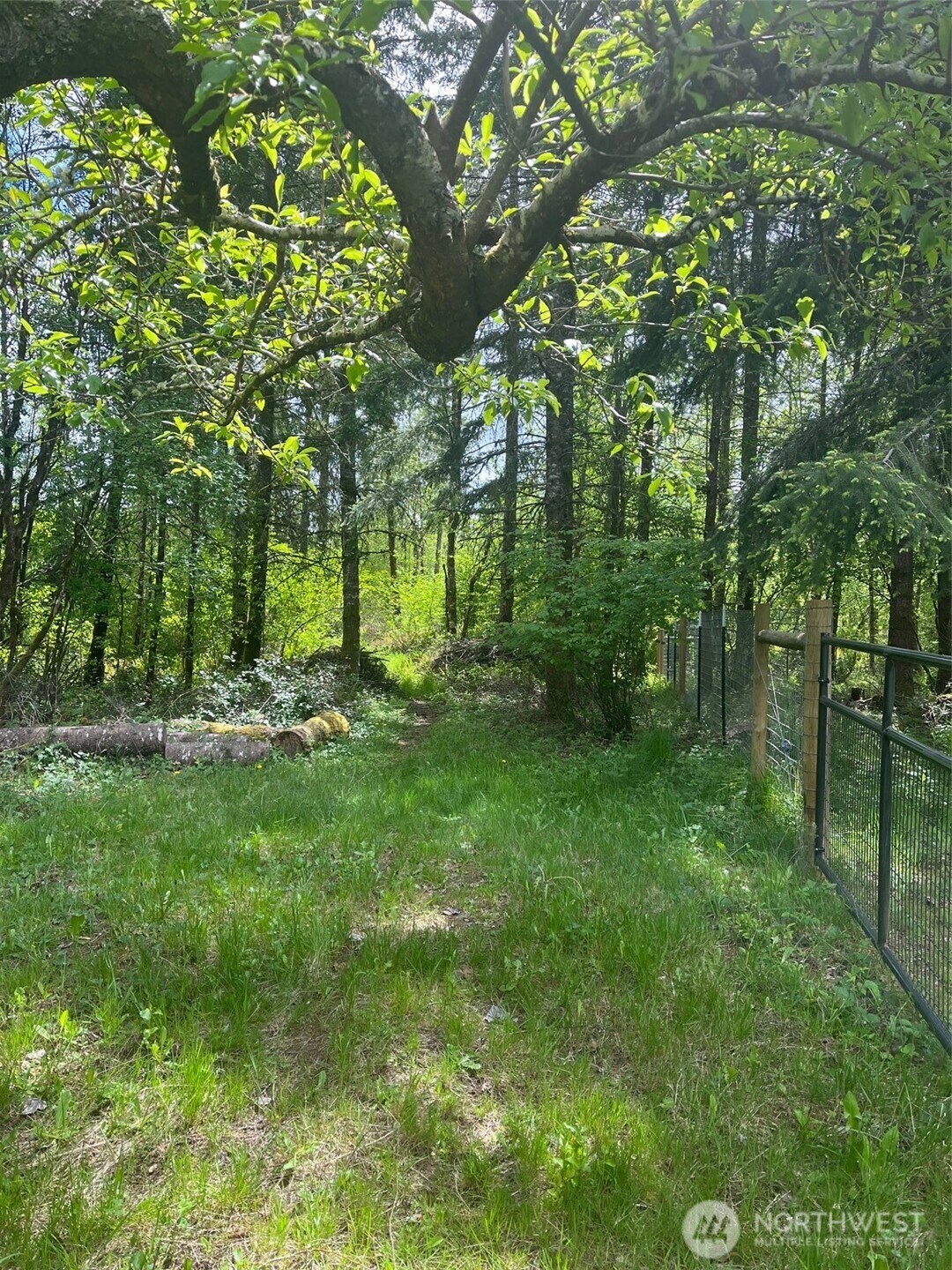 868 Highway 603 Property Photo 30