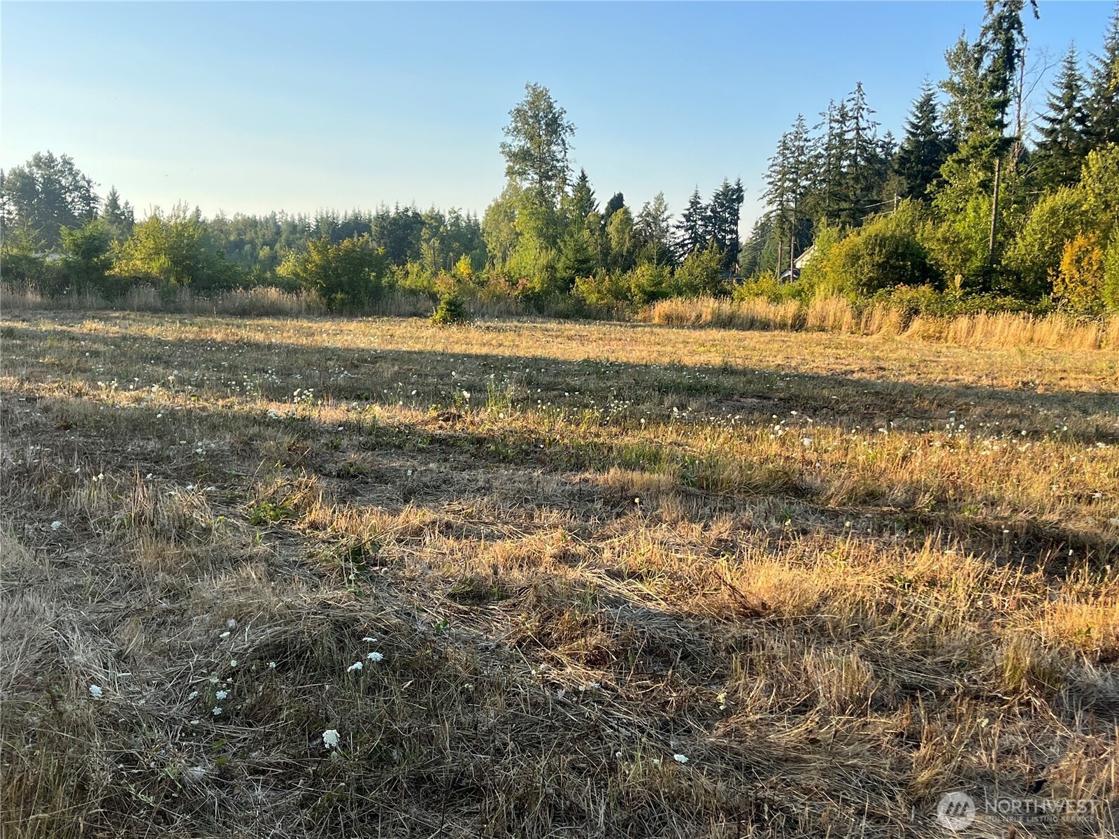 868 Highway 603 Property Photo 36