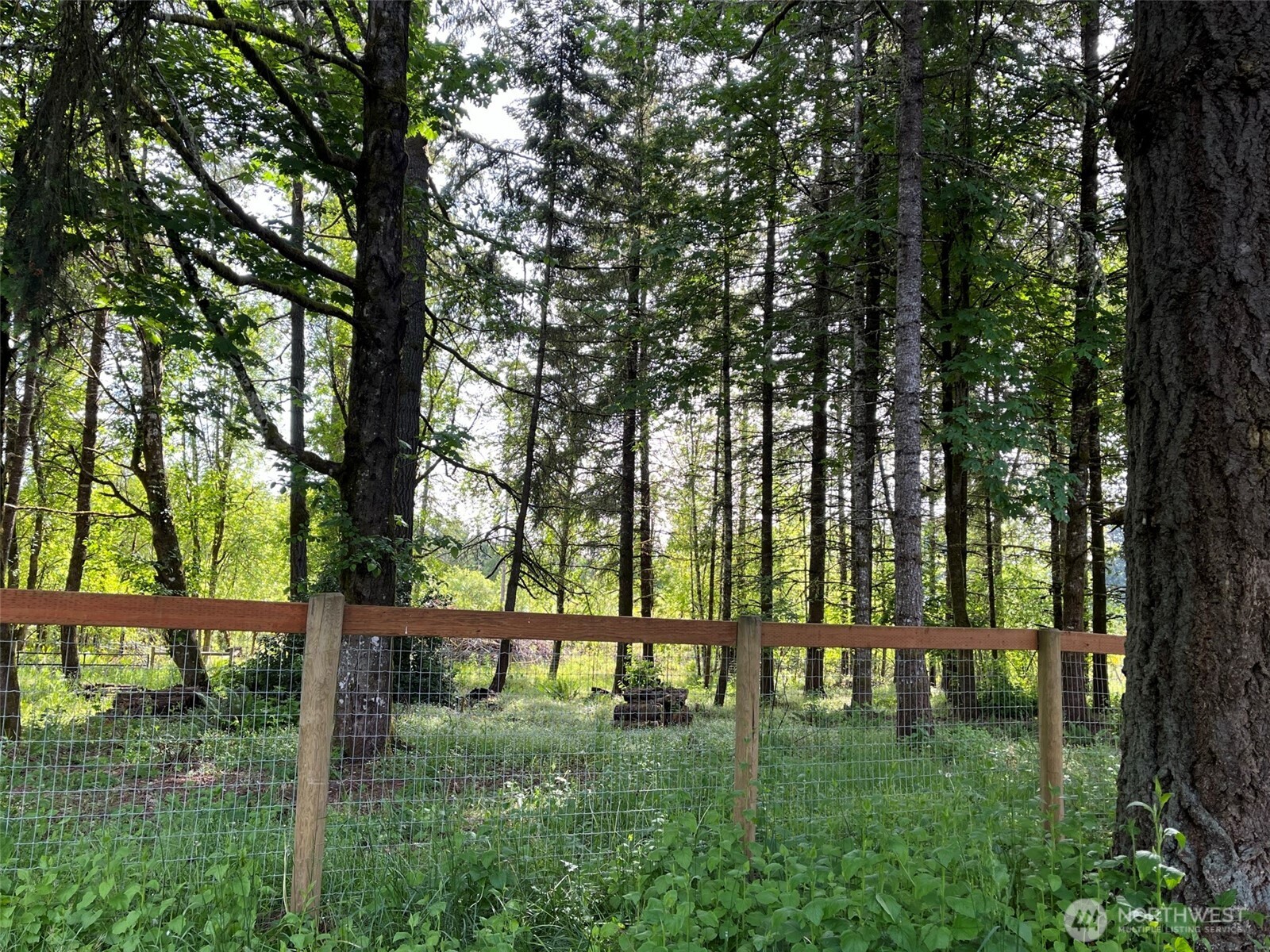 868 Highway 603 Property Photo 40