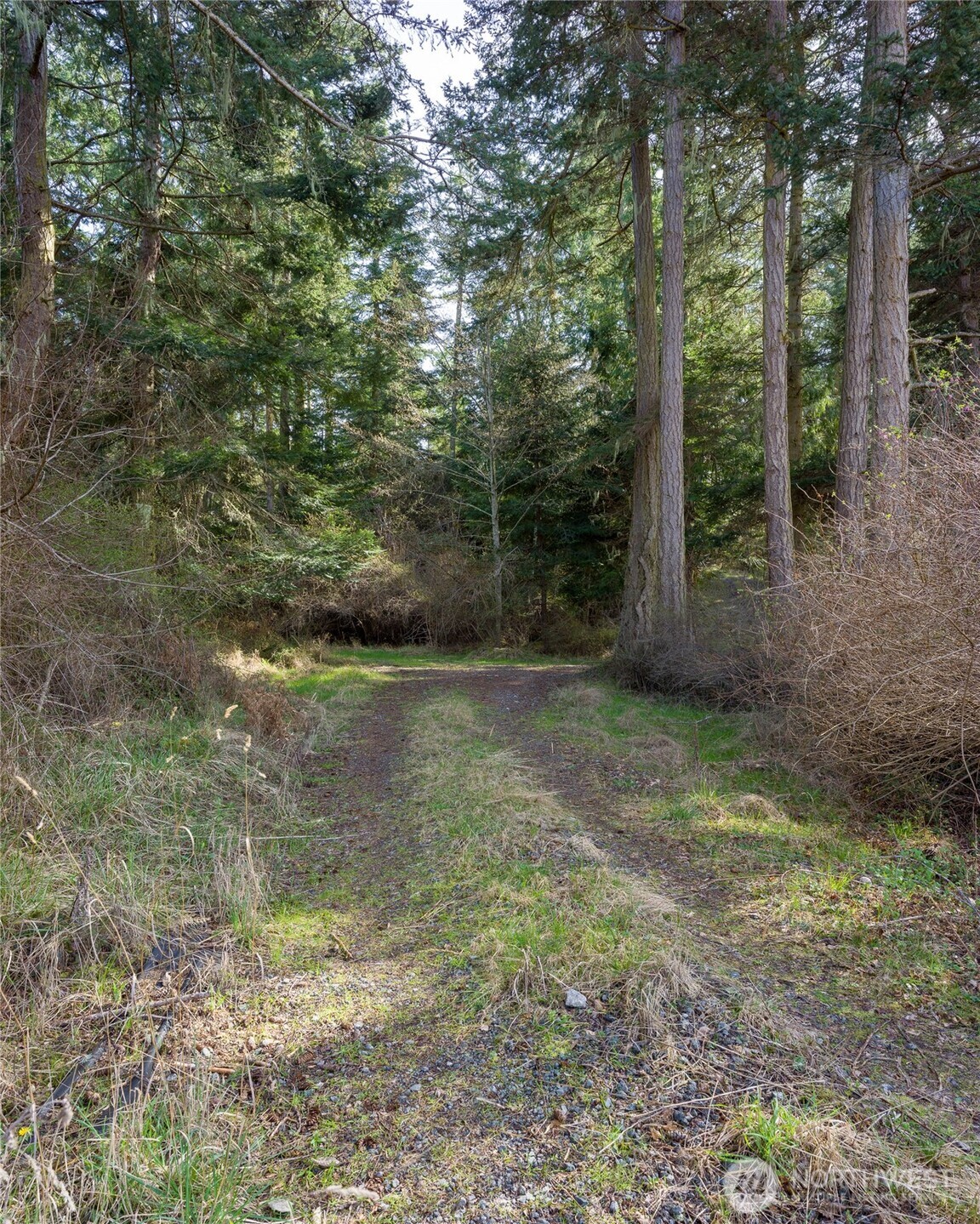 4722 Mud Bay Road Property Photo 13