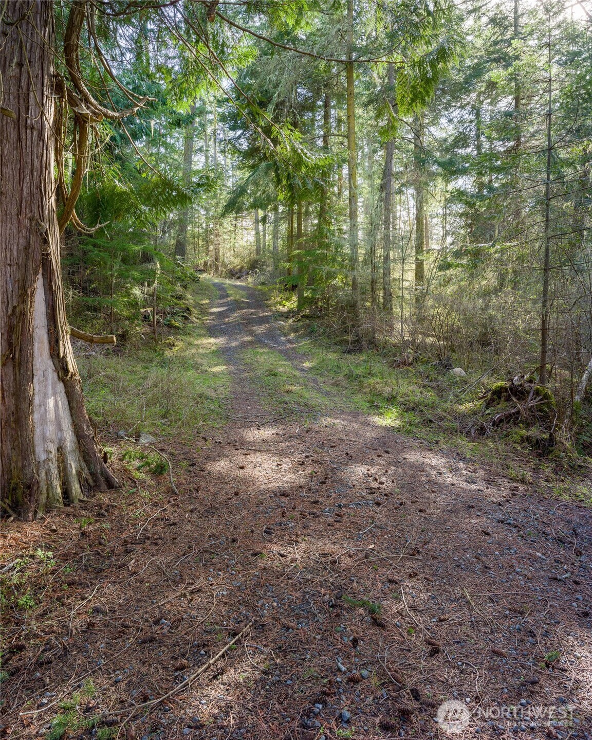 4722 Mud Bay Road Property Photo 14