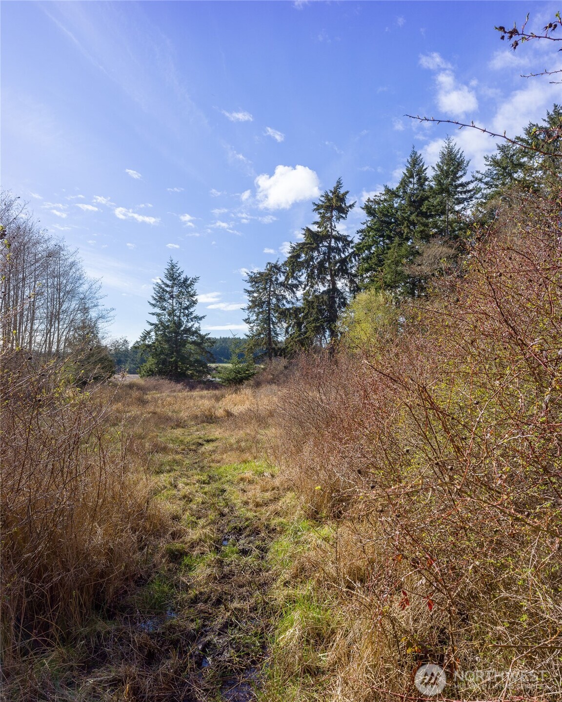 4722 Mud Bay Road Property Photo 17