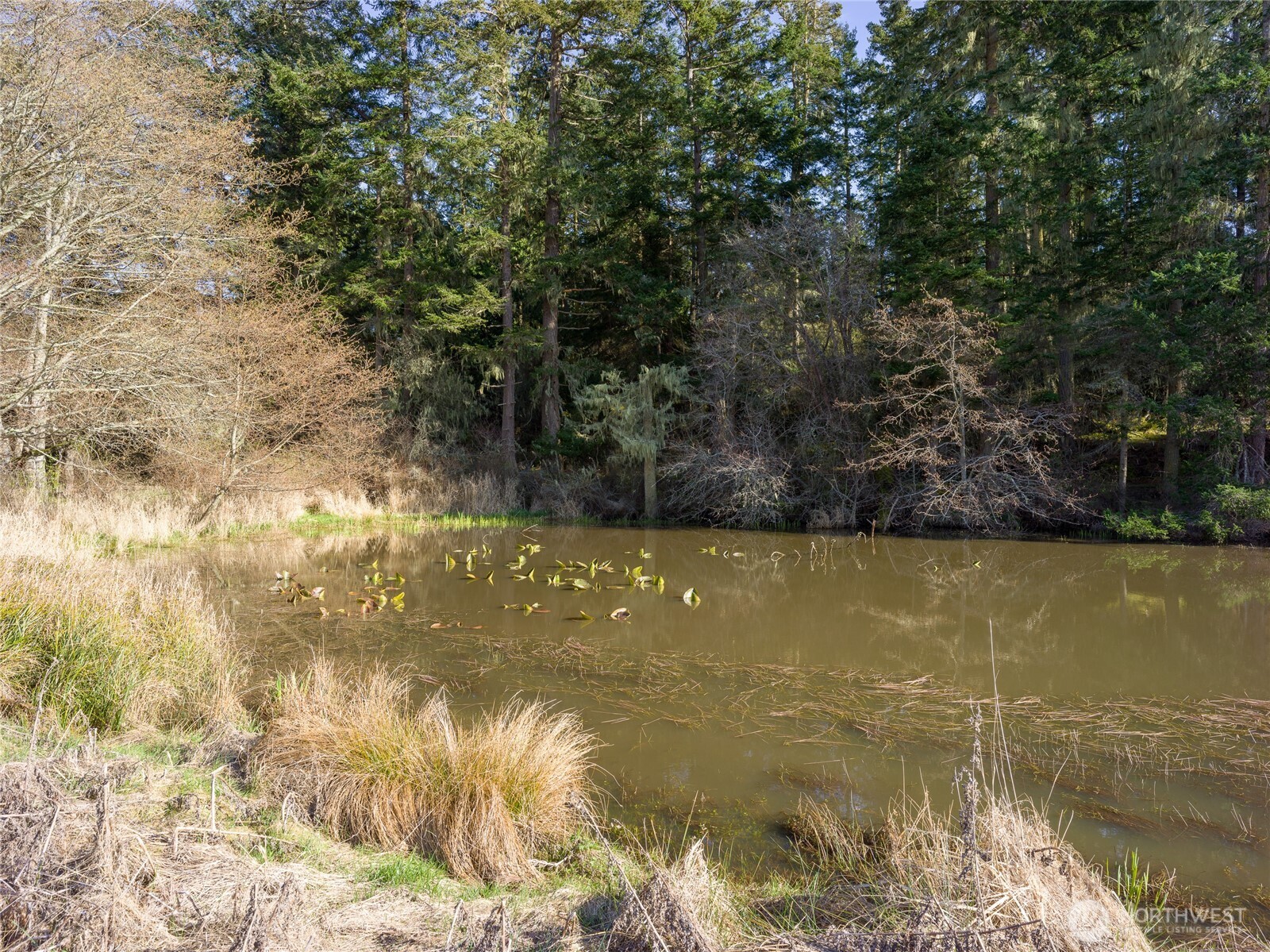 4722 Mud Bay Road Property Photo 20