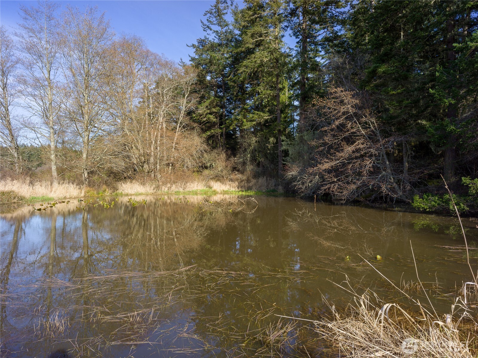 4722 Mud Bay Road Property Photo 22