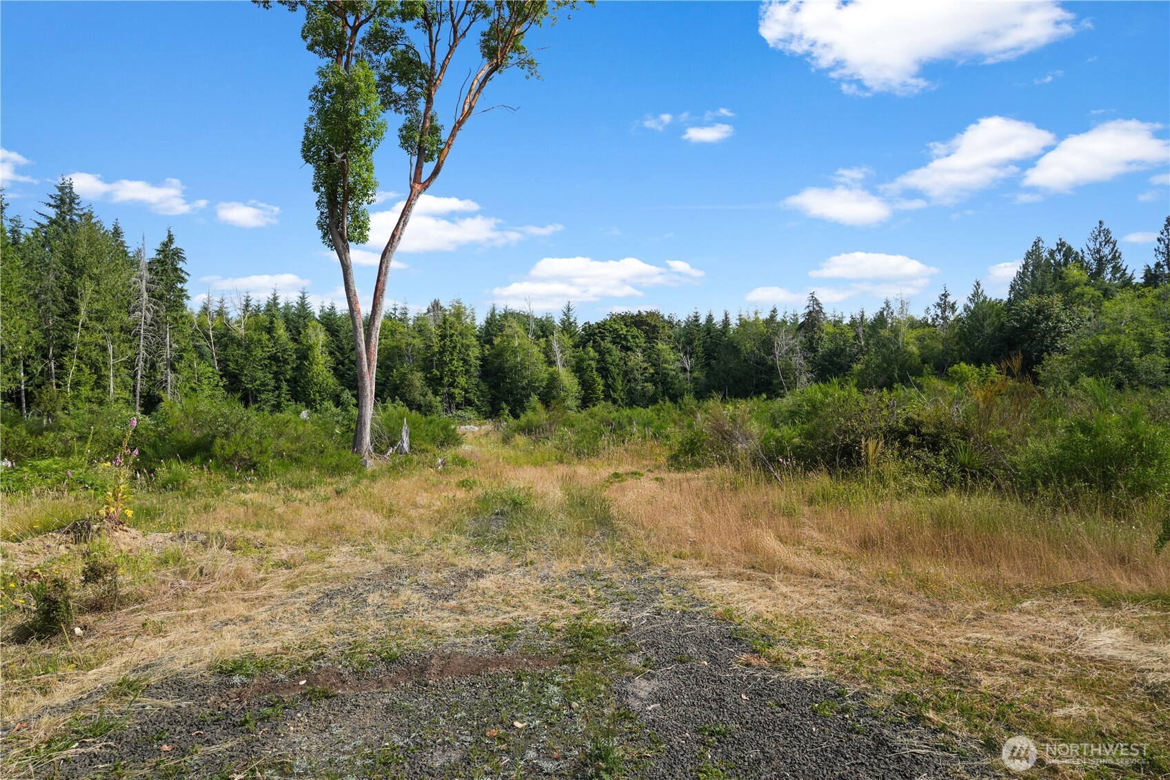 140 E Jared Road Property Photo 16