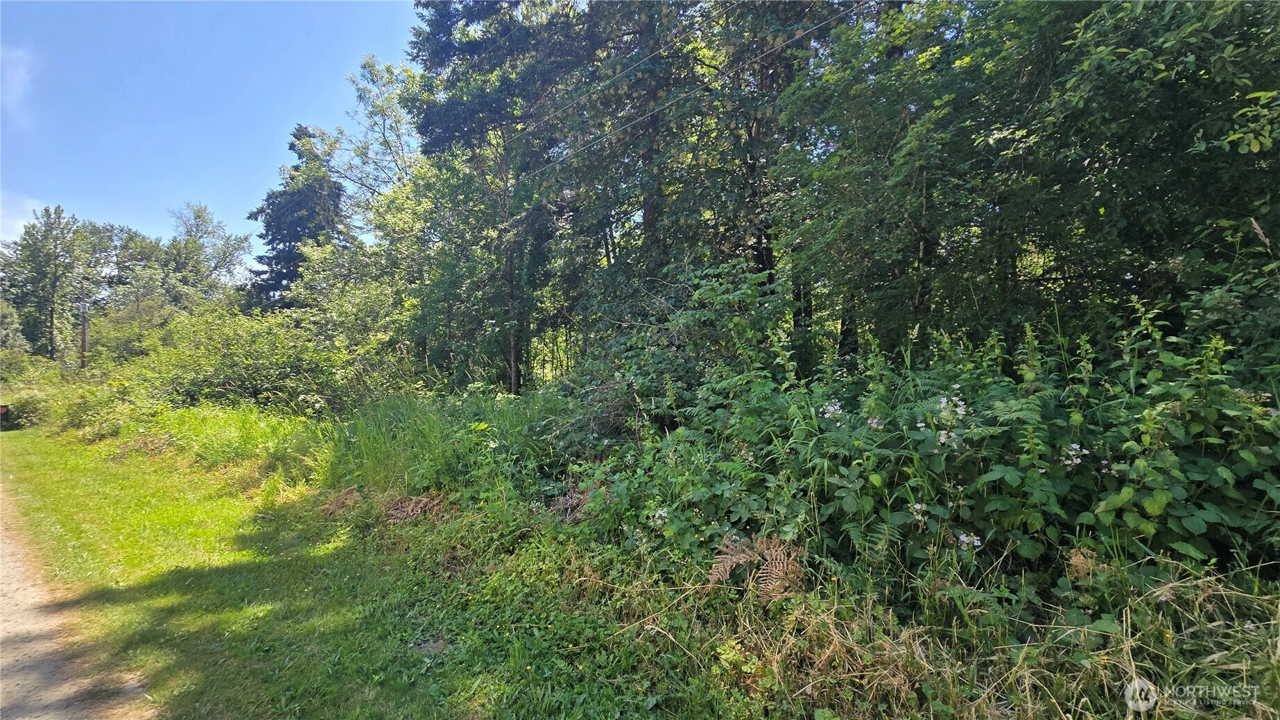 364 Xx 48th Avenue Property Photo 11