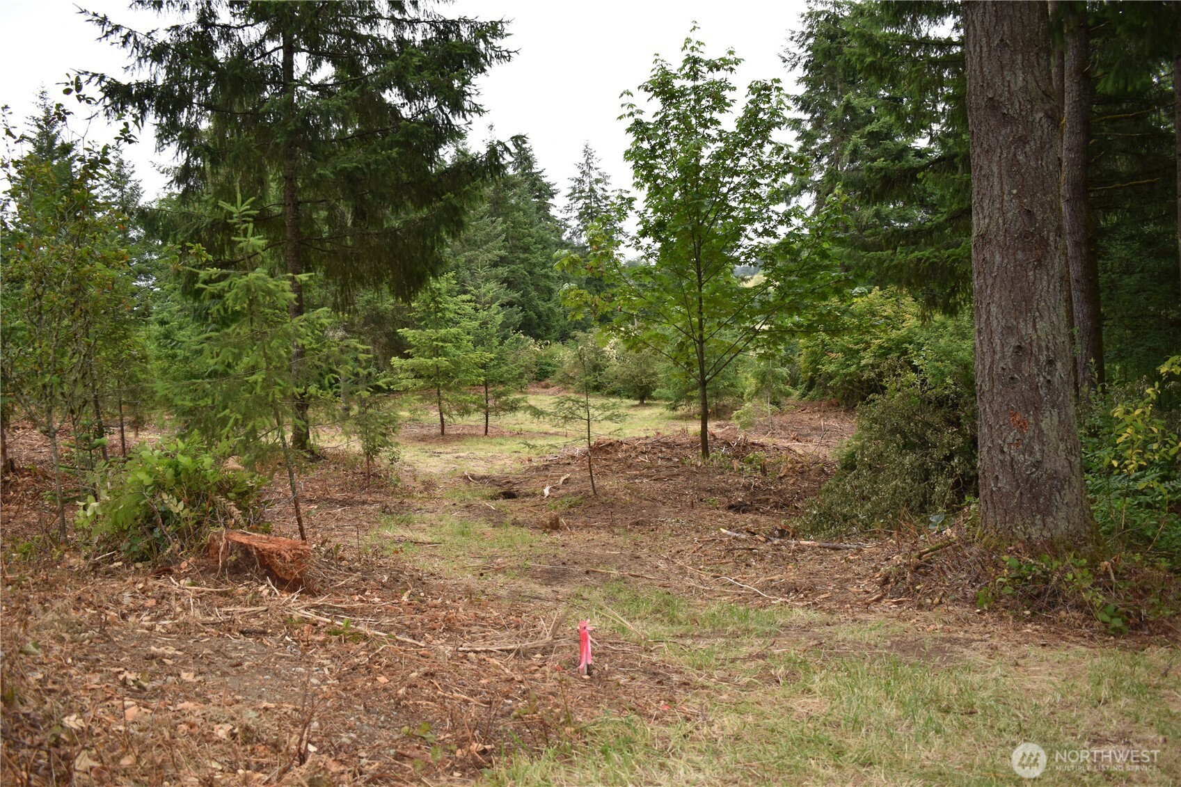 12345 Case Road Property Photo 7