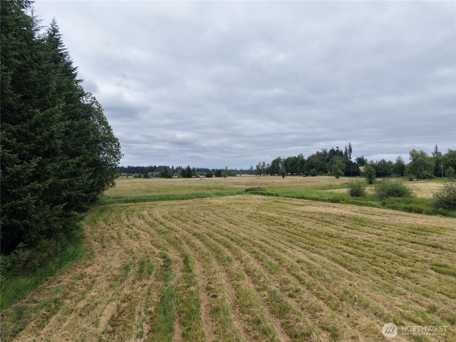 12345 Case Road Property Photo 8
