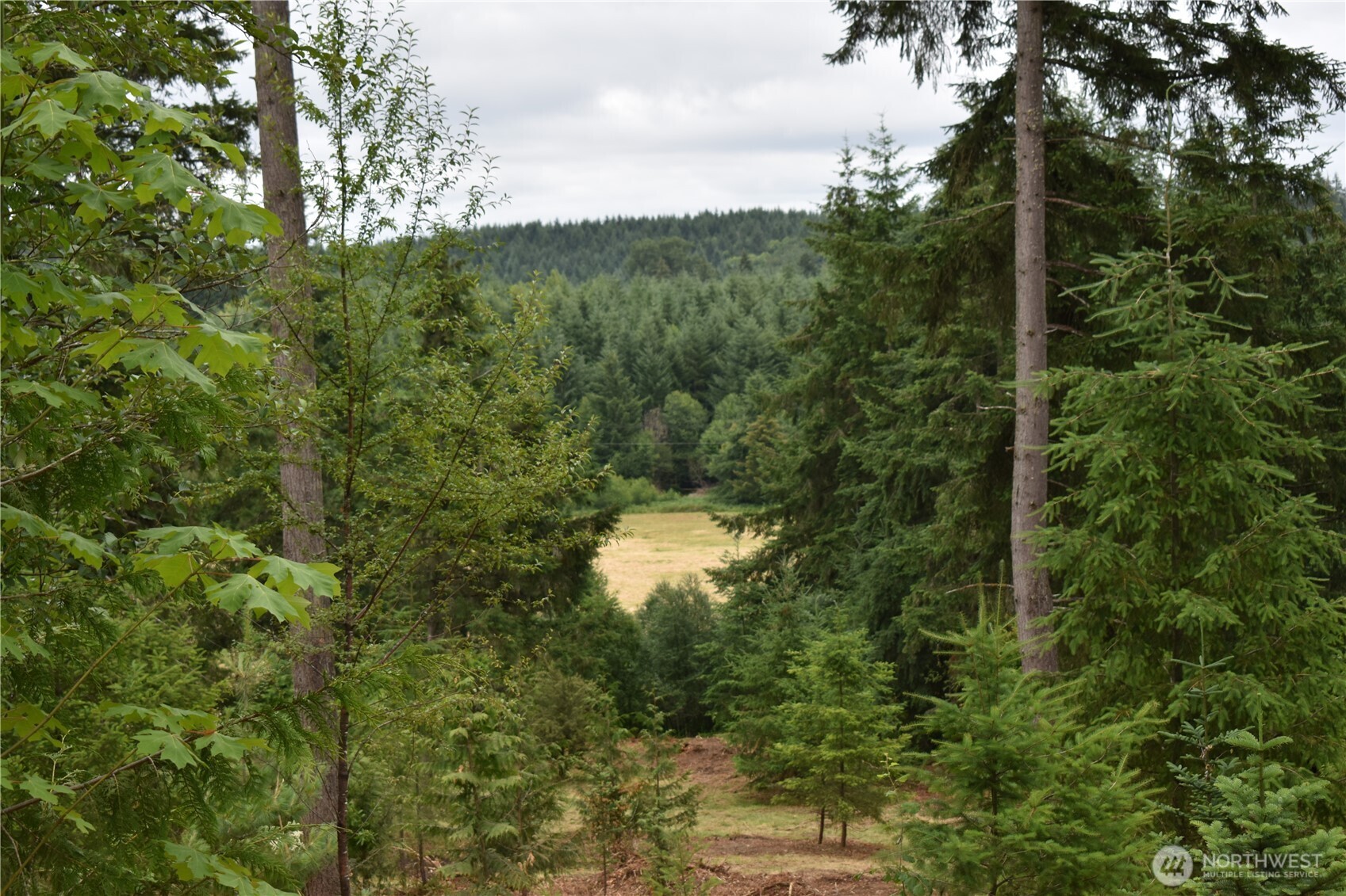12345 Case Road Property Photo 10