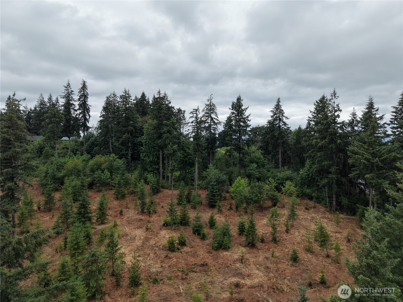 12345 Case Road Property Photo 11