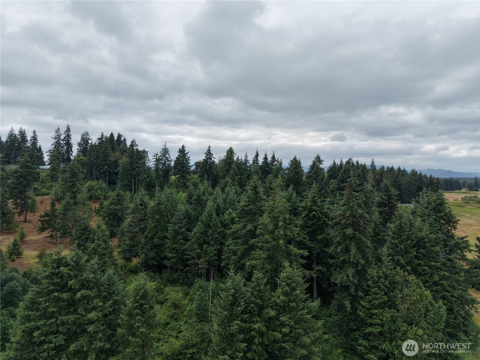 12345 Case Road Property Photo 13