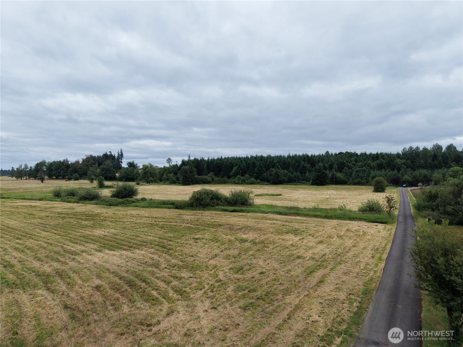 12345 Case Road Property Photo 15