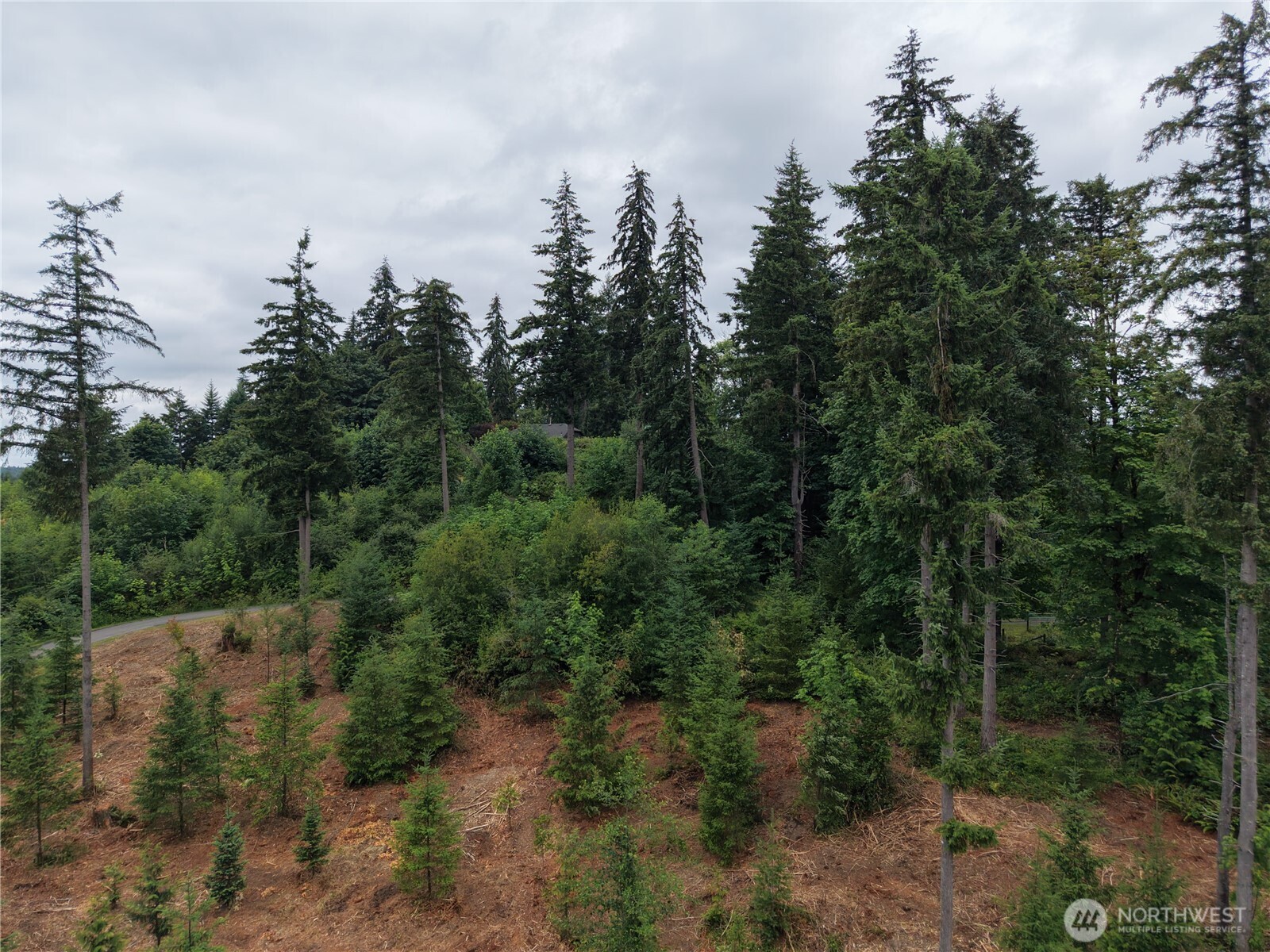 12345 Case Road Property Photo 16