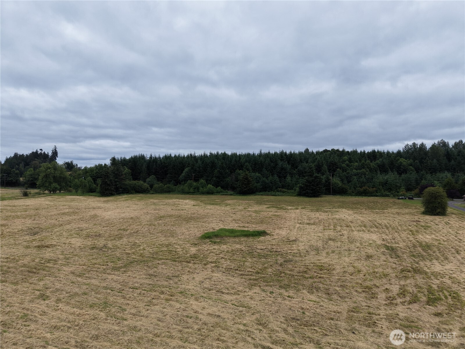 12345 Case Road Property Photo 17