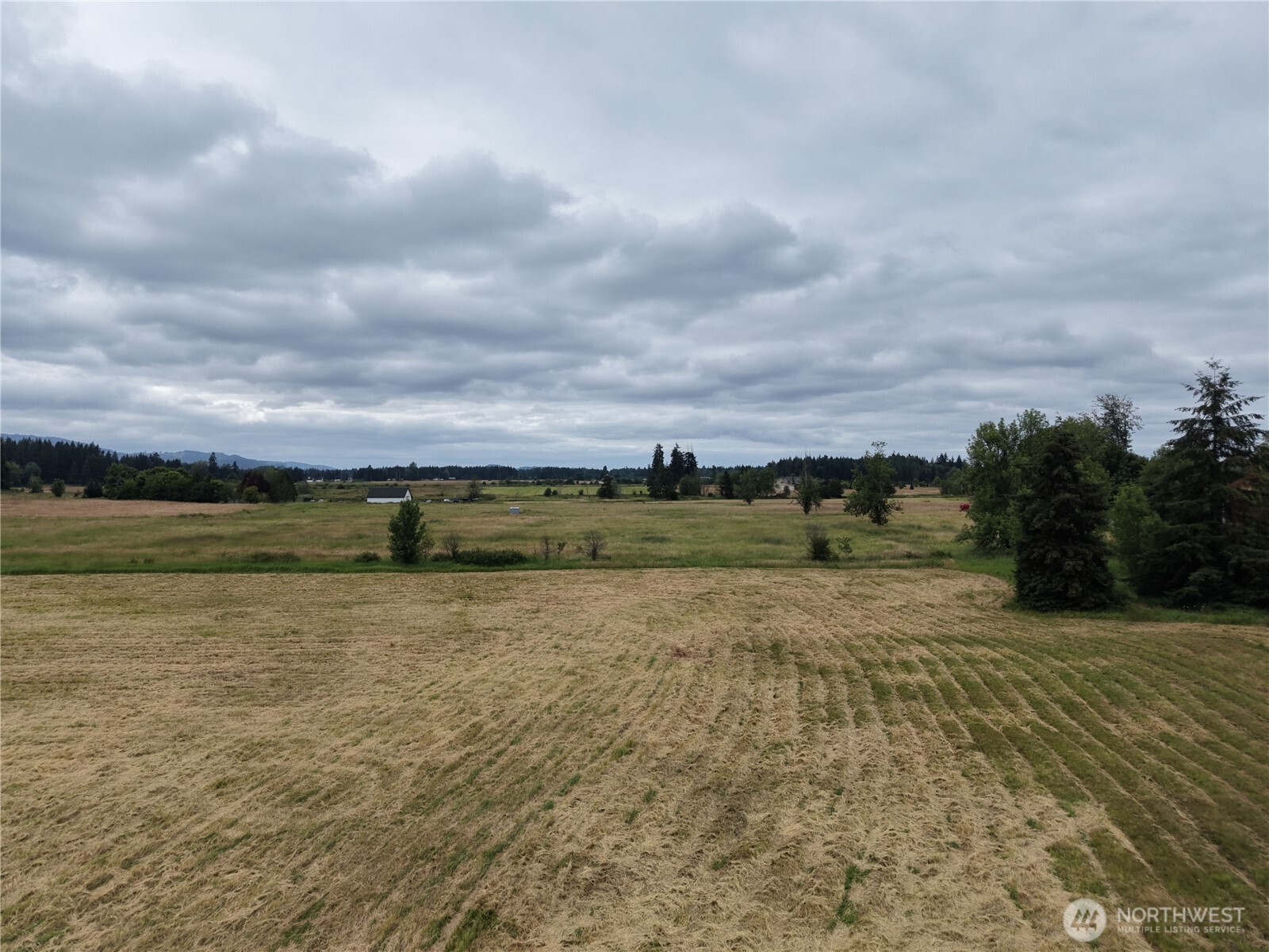 12345 Case Road Property Photo 18