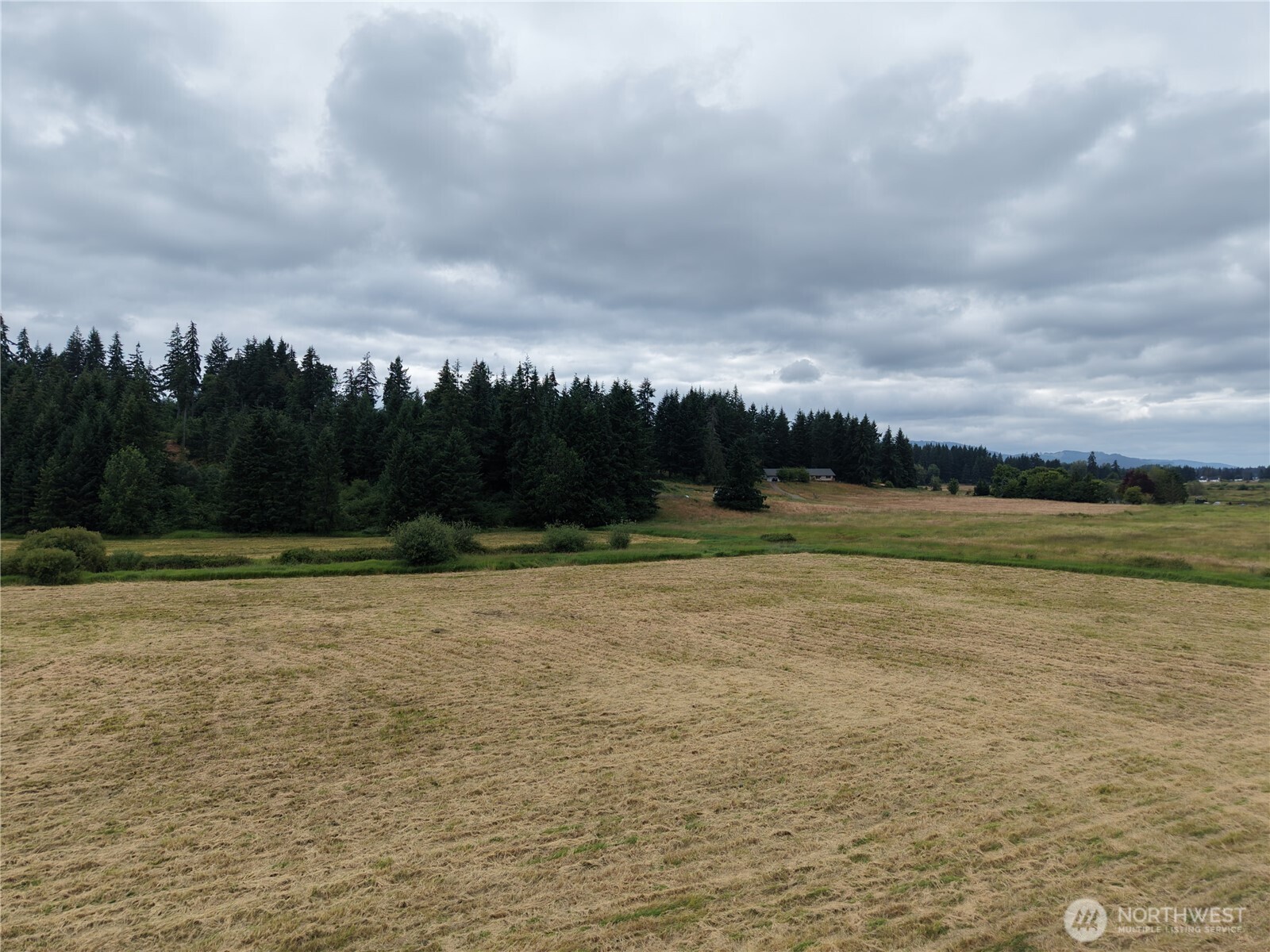 12345 Case Road Property Photo 19