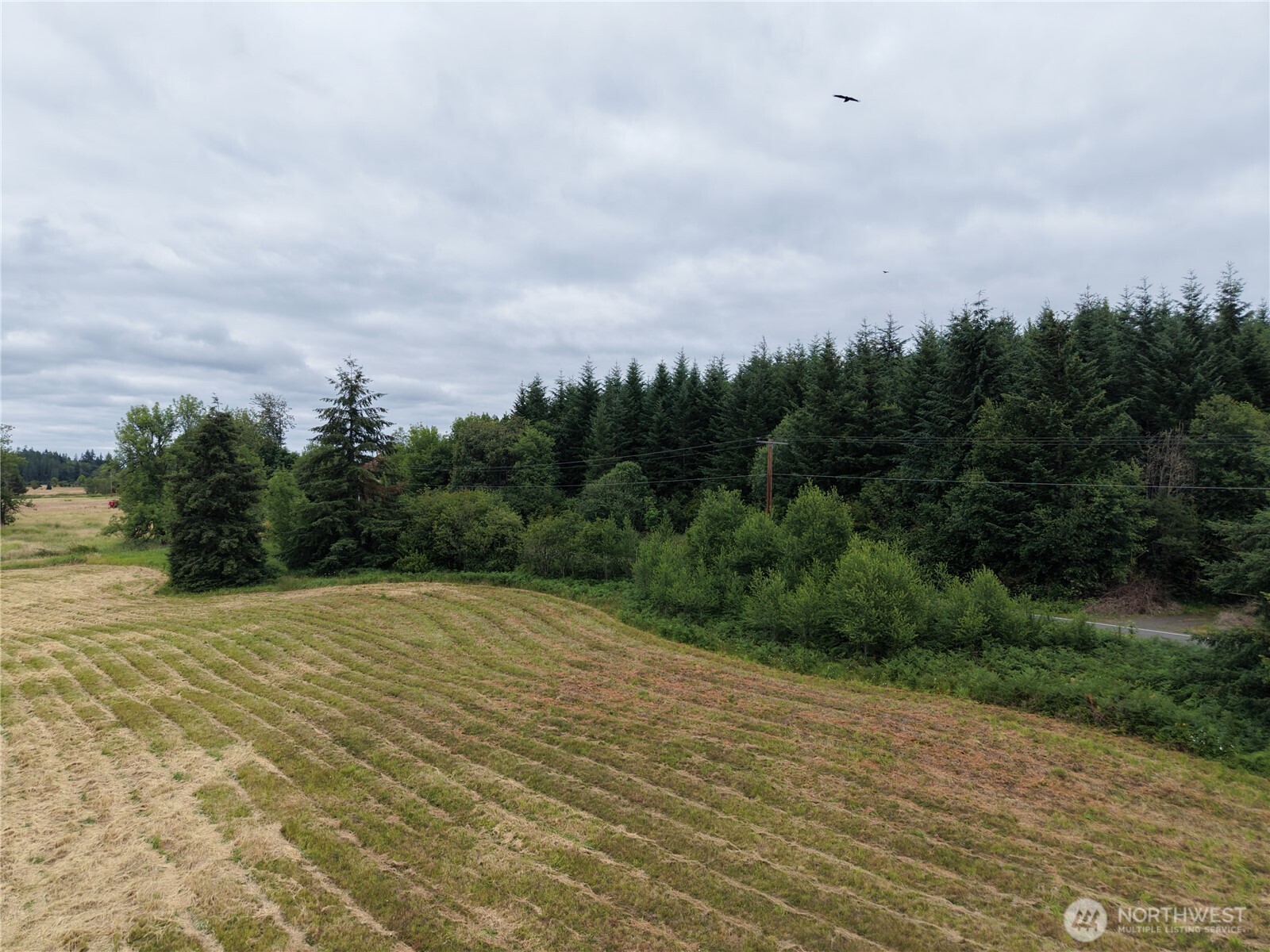 12345 Case Road Property Photo 21