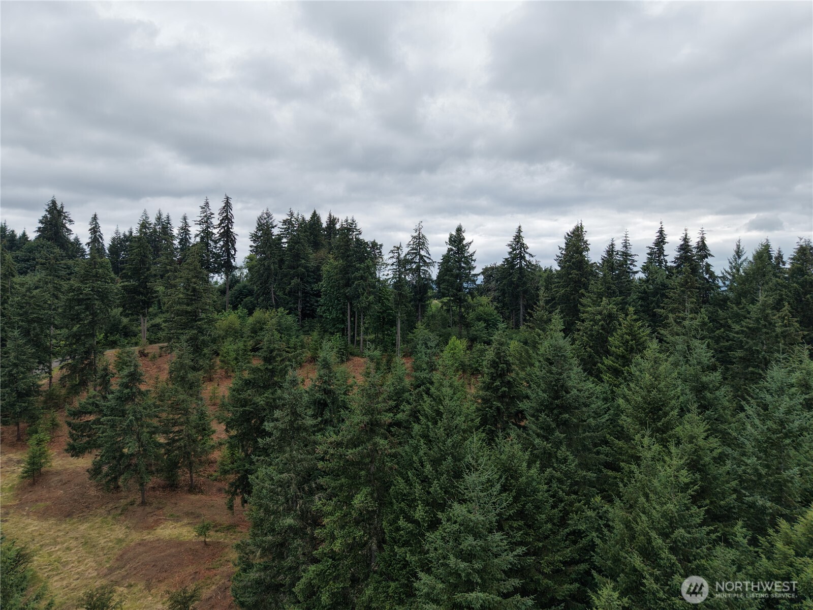 12345 Case Road Property Photo 23