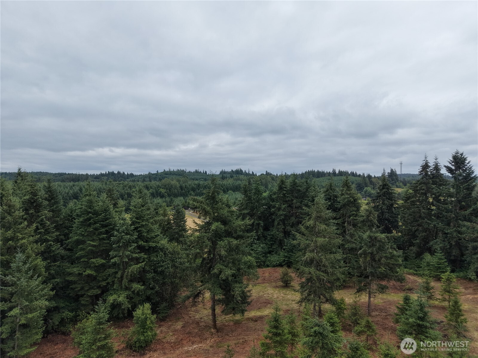 12345 Case Road Property Photo 24