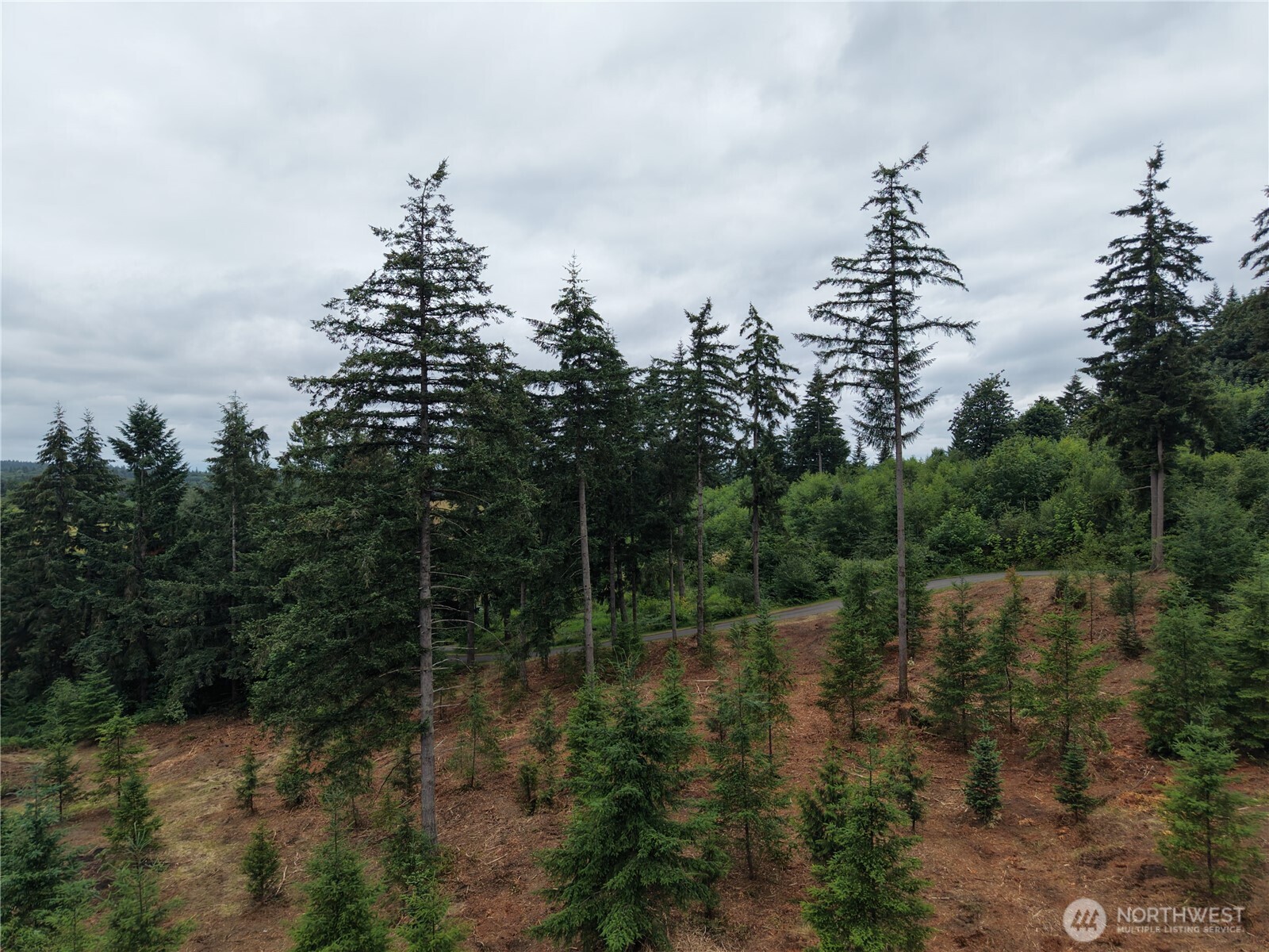 12345 Case Road Property Photo 25